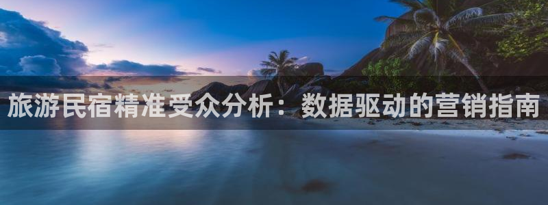 球盟会在线官网|旅游民宿精准受众分析：数据驱动的营销指南