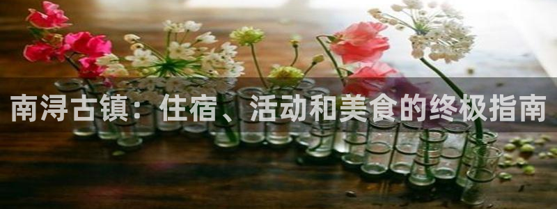 球盟会官方登录平台入口